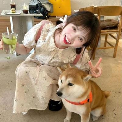 有情不悔